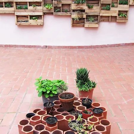 Albergue Casa Jam Barcelona